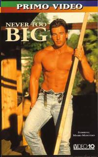 Never Too Big (Primo) Capa